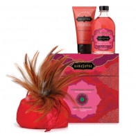 Kamasutra Treasure Trove Strawberry Kit