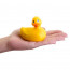 Big Teaze Toys I Rub My Duckie