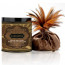 Kamasutra Honey Dust Körperpuder