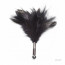 Lelo Tantra Feather Teaser