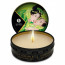 Shunga Massage Candle